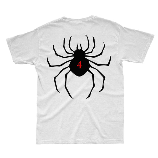Spiders - 4